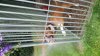 20170623_205613.jpg