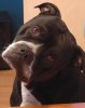 20170215_105511.jpg