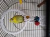 20170624_163618.jpg