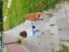 20170613_162506.jpg