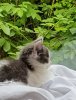 20170625_103740.jpg