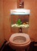 3fb46cf1e8b0be7c63fe263bb58652af--cool-toilets-fish-aquariums.jpg