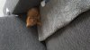 20170625_175902.jpg