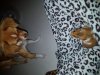 20161012_201547.jpg
