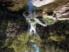 20170626_135634.jpg