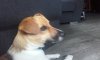 20170624_124152.jpg