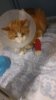 IMG-20170628-WA0086.jpg
