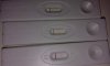 received_1552741354771286.jpeg