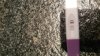 20170701_120808.jpg