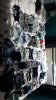 IMG-20170701-WA0004.jpg