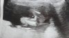 20170703_170917.jpg