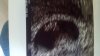 20170704_104559.jpg