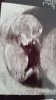 IMG-20170704-WA0016.jpg
