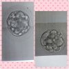 PhotoGrid_1499425256322.jpg