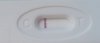 19840248_1363325593783487_550586662_o.jpg