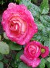 20170708_005502.jpg