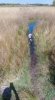 IMG-20170510-WA0004.jpeg