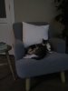 IMG_20170711_34532.jpg