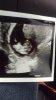 IMG-20170711-WA0004.jpeg