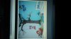 IMG-20170530-WA0004.jpeg