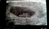 2017-07-25 11.41.24.jpg