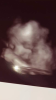 D4143A4D-E9CF-4701-804A-56E555D5B212 (2).png