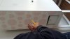 20170730_123331.jpg