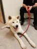 IMG-20170806-WA0000.jpg