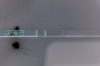test2510123.jpg