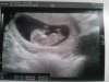 26-10-2012 02.jpg