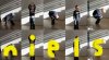 niels letters.jpg