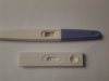 20121029_142334.jpg