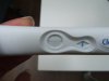 DSCF4009.jpg