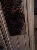 IMG_20121101_163051.jpg