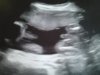 2012-10-31 14.11.35.jpg