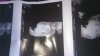 IMG-20170814-WA0013.jpeg