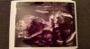 IMG-20170815-WA0005.jpg