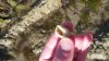 20170814_184955.jpg