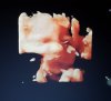 20170812_112308.jpg