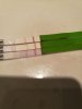 IMG_20170821_202812.jpg