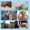 PhotoGrid_1503165303697.png