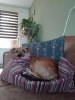 IMG_20170823_145932.jpg