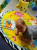 IMG-20170817-WA0003.jpg