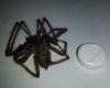 20170824_235410.jpg