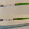 IMG_20170827_125312.jpg