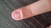 IMG-20170901-WA0002.jpeg