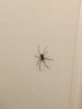 IMG-20170827-WA0009.jpg