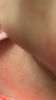 IMG_9211.PNG