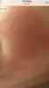 IMG_9213.PNG
