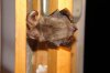 DSC01593.JPG